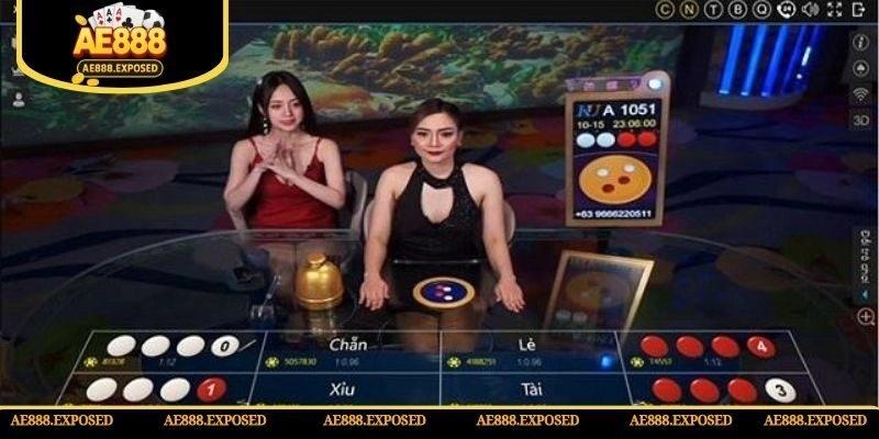 Kinh nghiệm cá cược dự đoán xí ngầu chuẩn xác